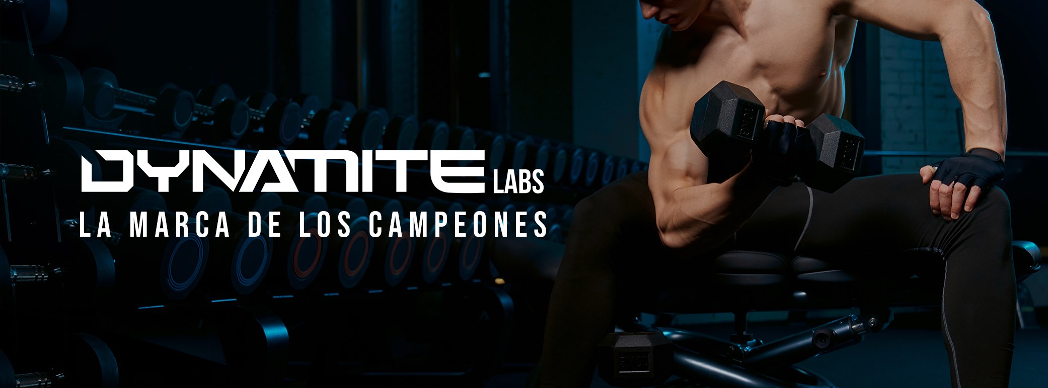 Bienvenido a DynamiteLabs